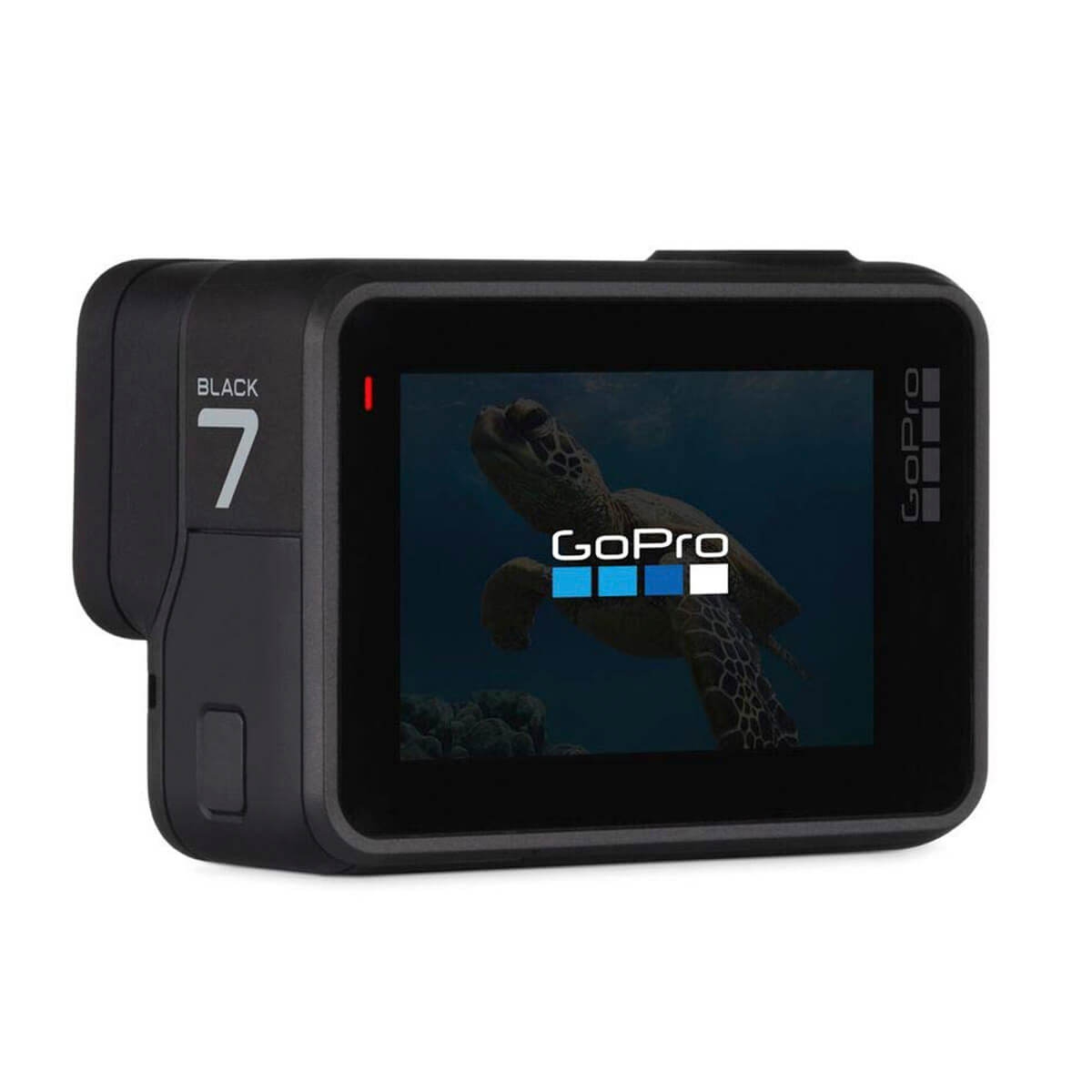 go pro mount for dog